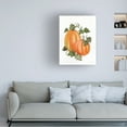 thumbnail image 2 of Trademark Fine Art 'Pumpkin and Vines I' Canvas Art by Kathleen Parr McKenna, 2 of 4