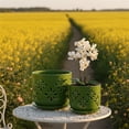 thumbnail image 6 of BUYMAX 5" & 6" Ceramic Orchid Pots with Holes and Trays, Blossom Geo Verdigris Patina, Set of 2, 6 of 7