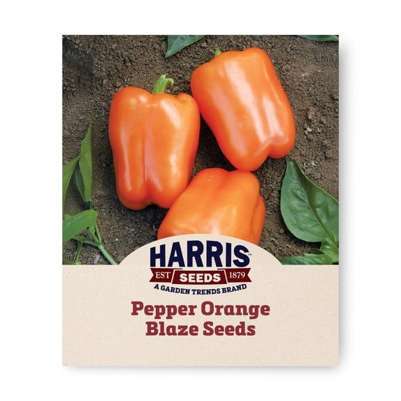 Harris Seeds Orange Blaze Hybrid Pepper, Small Orange Bell Type, Non-GMO, 50 Count