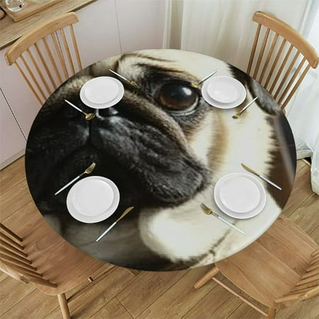 

Autua Cute Dog Round Tablecloth | Stain-Resistant & Washable | Ideal for Indoor & Outdoor Use | Full Width Single-Sided Printing | Various Sizes | Perfect for Restaurants Weddings Parties 31 -35