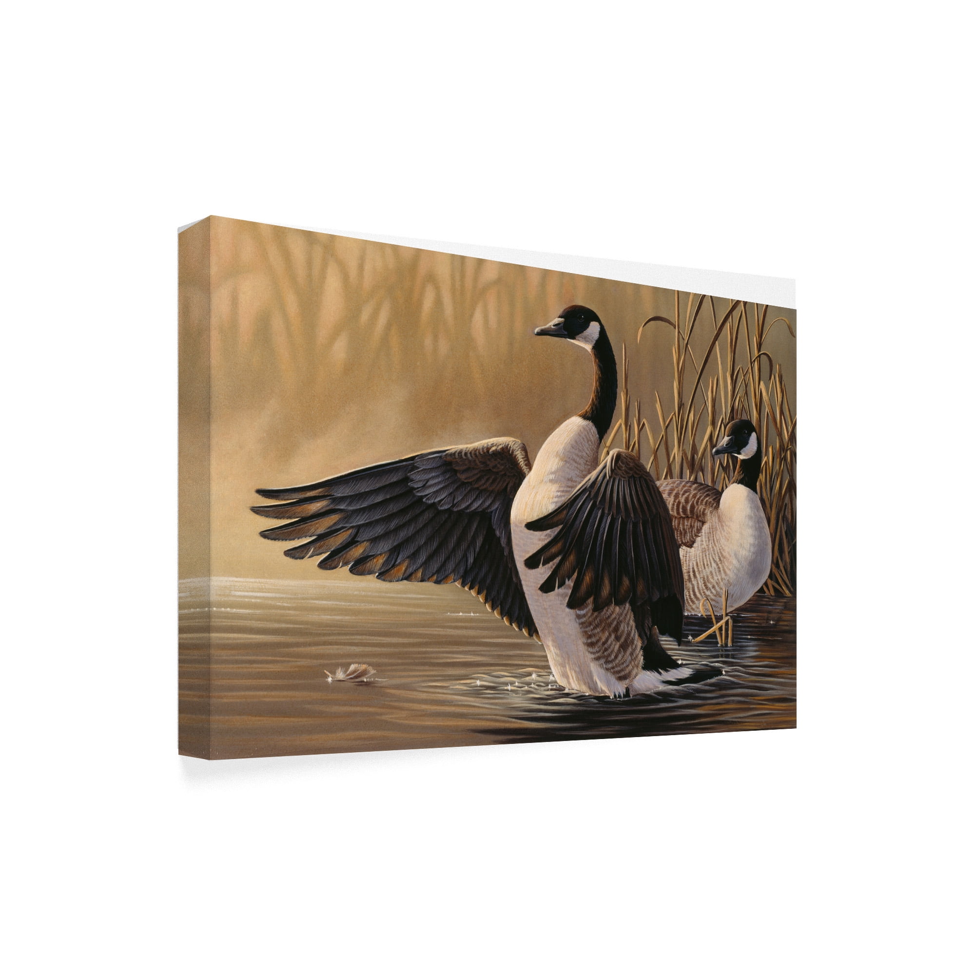 Trademark Fine Art '1994 Canada Geese' Canvas Art by Wilhelm Goebel