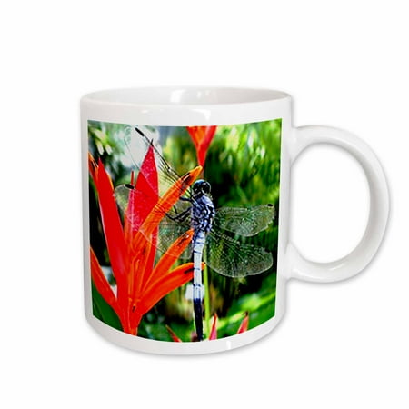 

3dRose Dragon Fly Ceramic Mug 11-ounce
