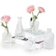 thumbnail image 1 of Supmind Glass Bud Vase Juego De 5 Floreros Pequeños Transparentes Para Centros De Mesa A Granel Mini Florero Vintage Para Mesa Rústica De Boda En Casa, 1 of 5