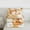 Orange, variant on Castle Fairy 3-Piece Queen Size Comforter Set - Modern Marble Gradient Print