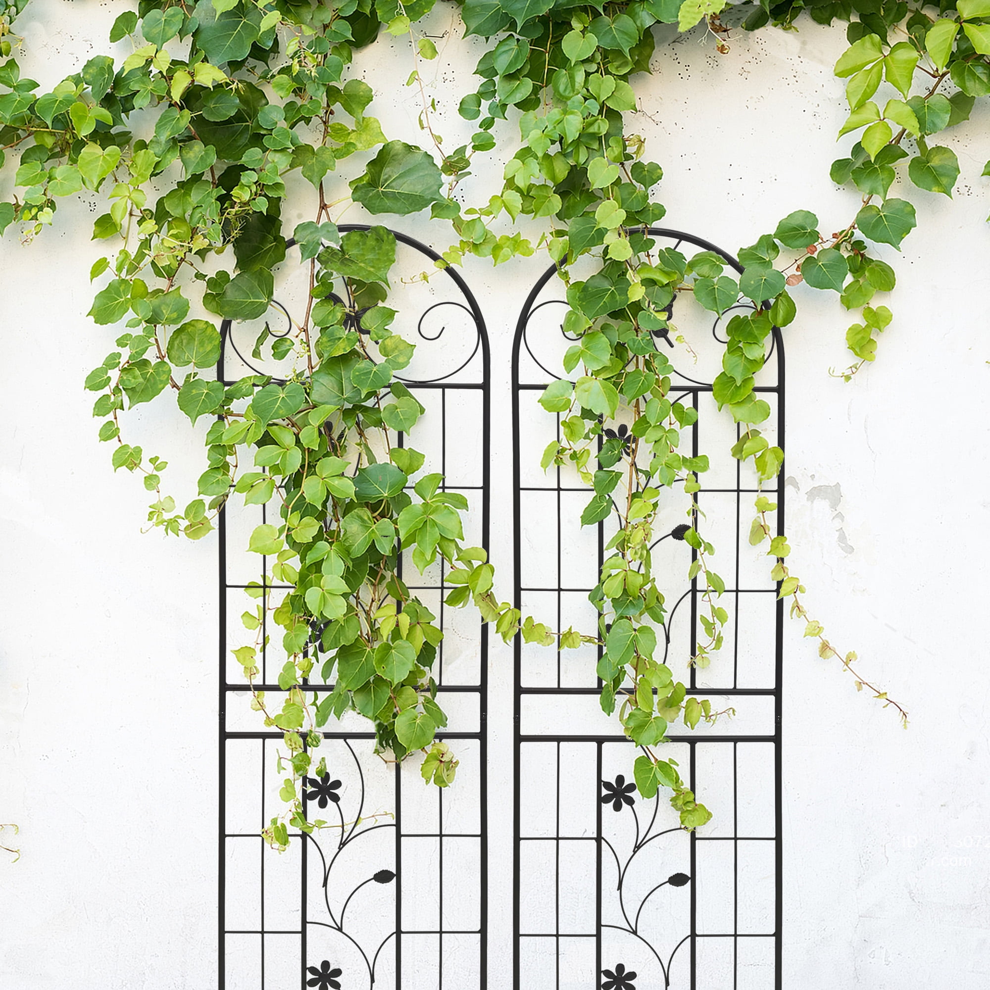 MAYEERTY 2 Pack Metal Garden Trellis 71 x 19.7 Inch Rustproof Climbing Plants Support Black Outdoor Flower