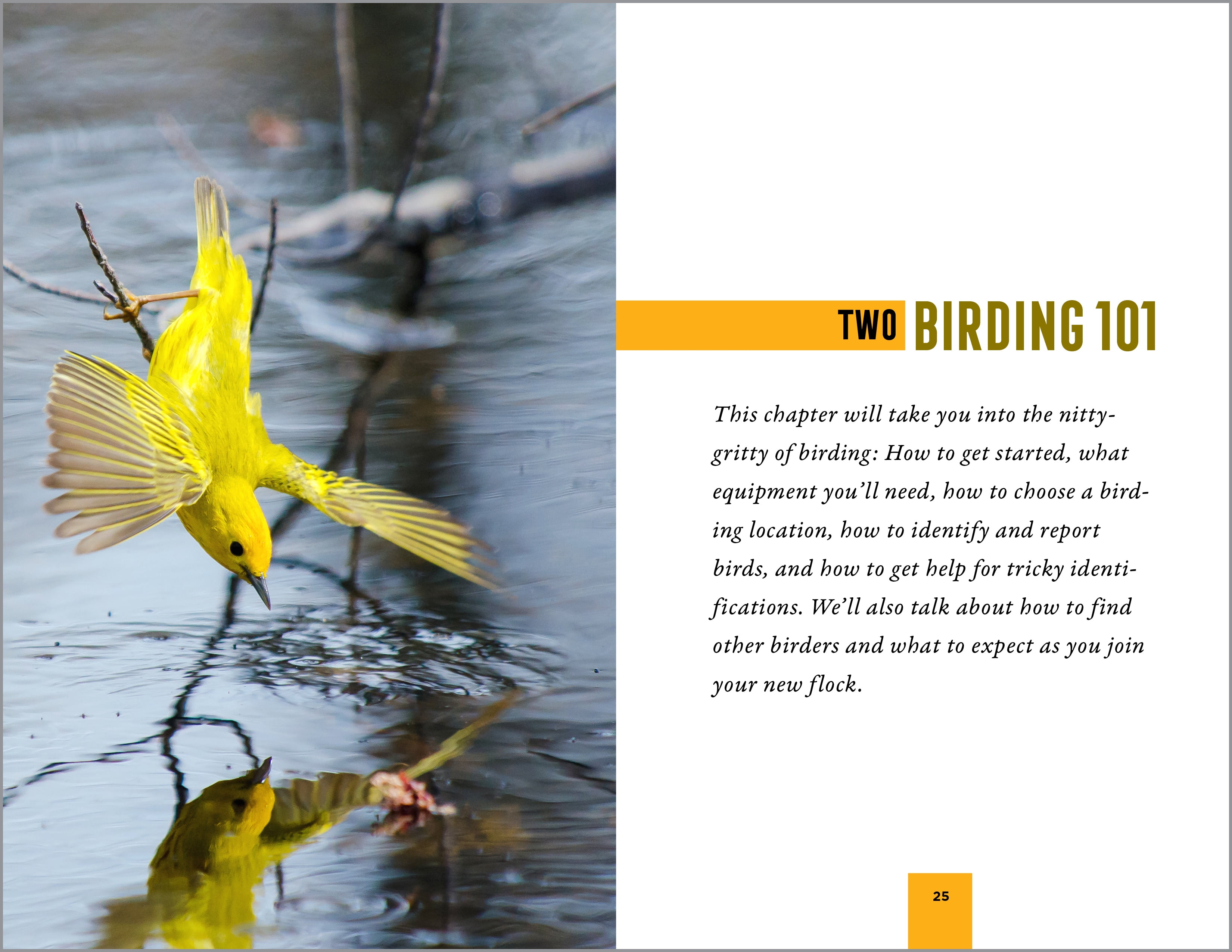 North American Bird Watching for Beginners (Spiral Bound)