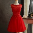 thumbnail image 1 of Vestido de dama de encaje de las mujeres atractivas sin mangas bordado de malla de tul delgado Irfora Vestido, 1 of 7