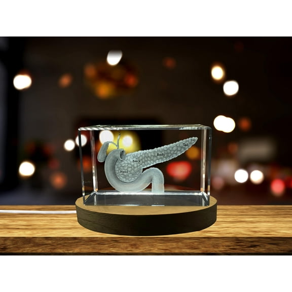 Pancreas Art | 3D Engraved Crystal Keepsake | Gift/Decor| Collectible| Clear | AB Crystal Collection