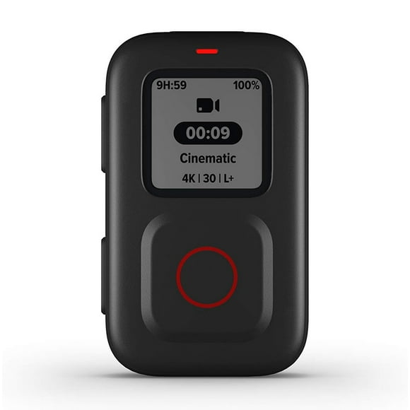 GoPro The Remote - Official GoPro Accessory