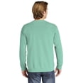 thumbnail image 2 of Comfort Colors Ring Spun Crewneck Sweatshirt, 2 of 5