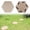 F, variant on Decorative stones Home Or Garden Step Stones For Outdoor Walkway Or Walkway Stepping Stones Stepping Stones Plastic (Hexagons Circles Squares Beige,Cyan)