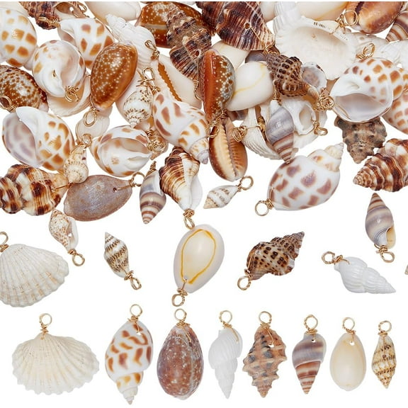 80pcs 8 styles Natural Mixed Shell Pendants Shell Shaped Charms with Light golden Plated Copper Loops Mixed color 20mm 10pcs/style