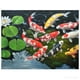 thumbnail image 3 of 3X 5D DIY Arte Diamante Pintura Diamante Completo Kits de Punto de Bordado Decoraciones para El Hogar, 3 of 5