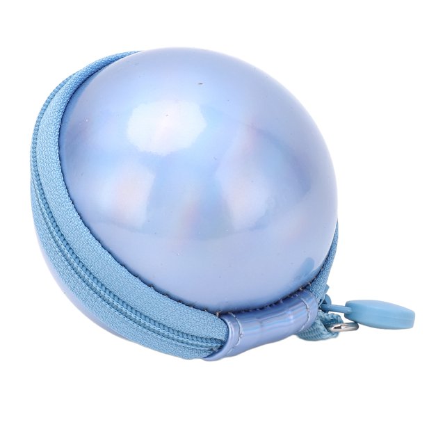 Mini Étui pour Caméra, Étui Rigide en EVA pour PAL, Sac Protecteur Léger avec Sangle de Main, Design à la Mode