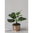 thumbnail image 1 of Artificial Calathea plant in pot - Bianca, 1 of 3