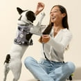 thumbnail image 3 of THE LICKER STORE Arlo Large Adjustable Soft Padded No Pull Pet Harness with 3 Buckles and 3 Leash Clips, Gray, HNS1003N, 3 of 8