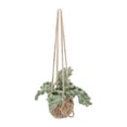 thumbnail image 4 of WEUVEB Car Accessories Crochet Hanging Plant Holder Knitted Basket 2 Pieces Decorative Air Freshener, 4 of 8