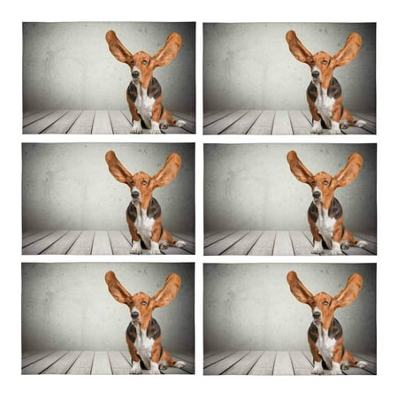 

MKHERT Funny Realistic Dog Puppy Placemats Table Mats for Dining Room Kitchen Table Decoration 12x18 inch Set of 6