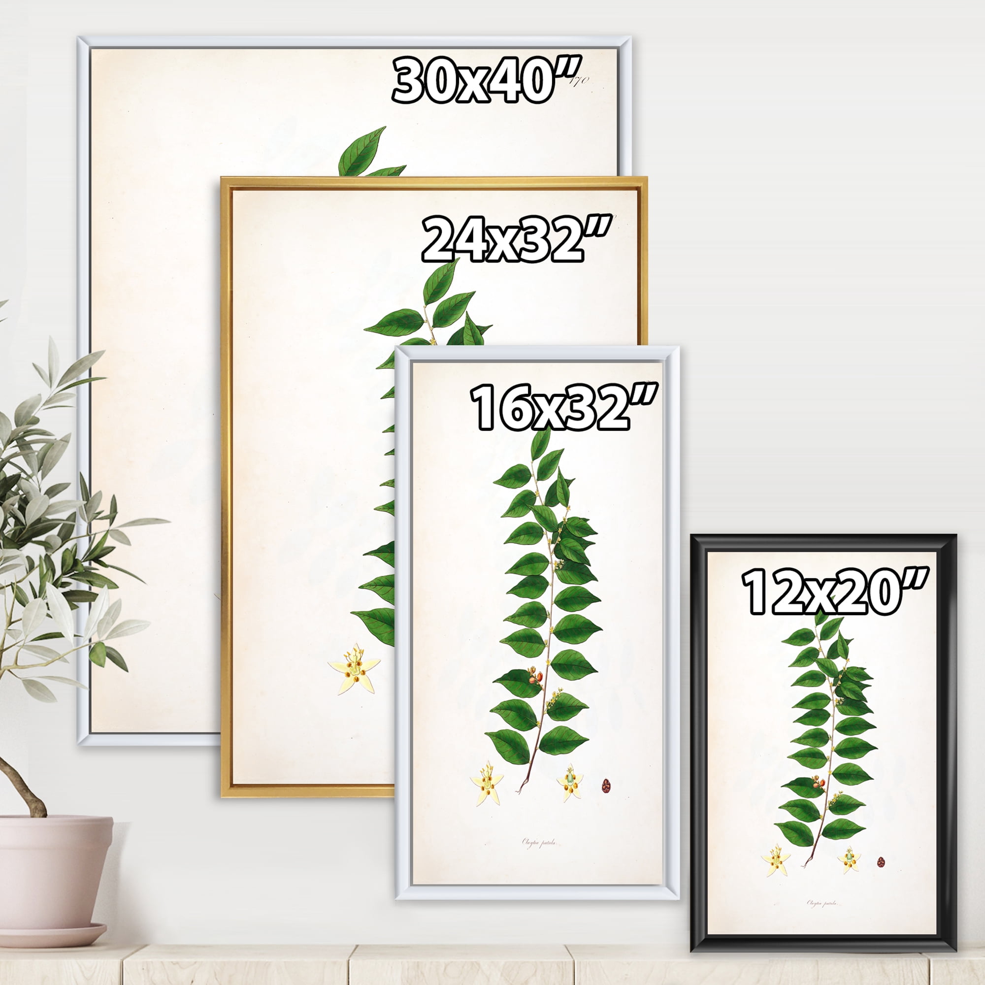 Designart 'Ancient London Plants VI' Farmhouse Framed Canvas Wall Art Print