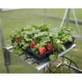 thumbnail image 6 of Palram - Canopia Heavy Duty Shelf Kit for Most Canopia Greenhouses, 6 of 10