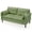 Green, variant on BUPPLEE 57.9 Inch Fabric Two-Seat Loveseat Sofa with Two Throw Cushions and Dual Side Storage Pockets for Apartment Living Spaces