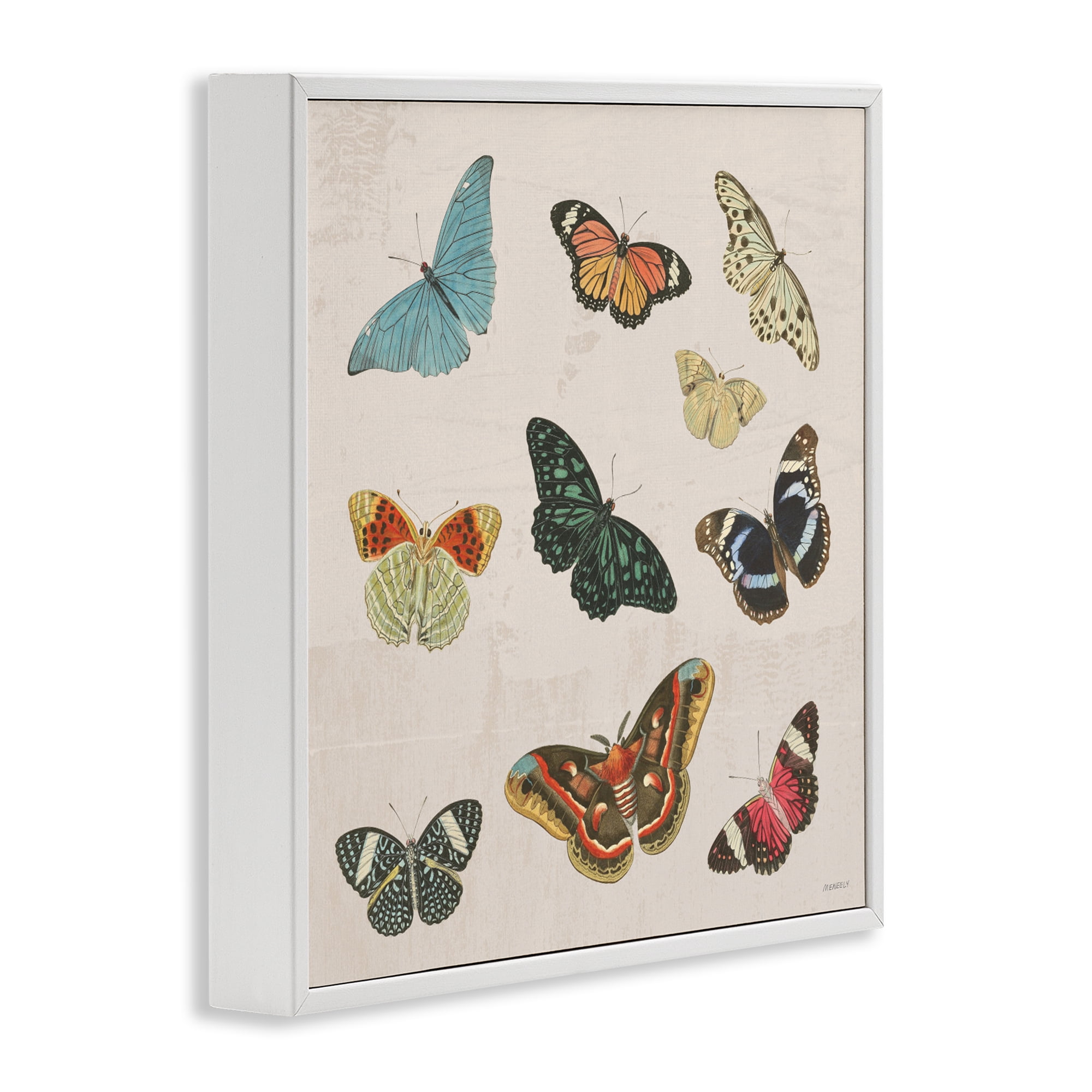 Stupell Industries Vintage Butterfly Flight White Framed Giclee Art, design by Dan Meneely