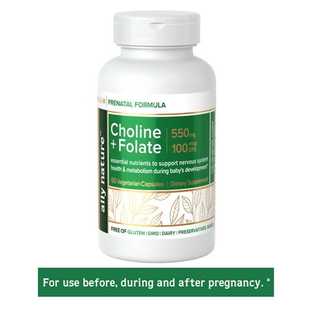 Vegan Prenatal Choline 550 mg Plus Folate 60 Counts Non-GMO Capsules, Support Brain and Nervous System Development in Babies During Pregnancy and