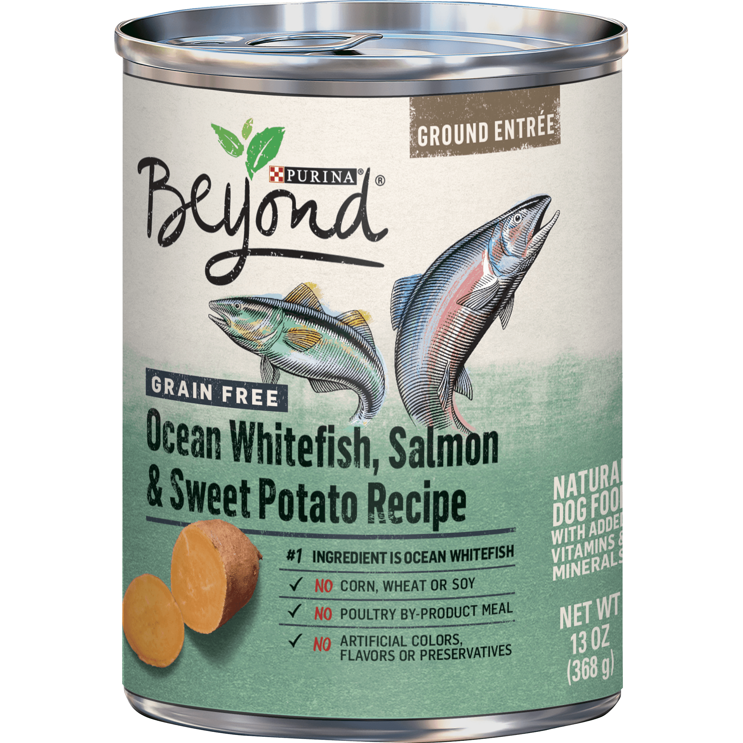 Purina Beyond Grain Free Pate Wet Dog Food, Grain Free Ocean Whitefish
