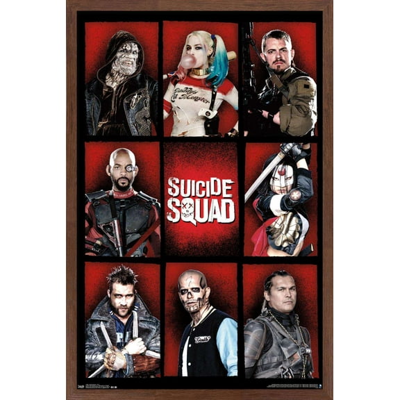 DC Comics Movie - Suicide Squad - Grid Wall Poster, 14.725" x 22.375", Framed