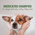 thumbnail image 5 of Sergeant's Fur-so-Fresh Medicated Shampoo Dog, Green Tea with Tea Tree Oil, 18 oz, 5 of 5