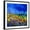 Black Frame, variant on Art.com Blue Cornflowers 7741 Art Print by Pol Ledent, 24" x 24"