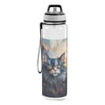 thumbnail image 2 of Cat Painting Grey Sports Water Bottle Portable Travel Mug 32oz BPA Free Leak Proof Straw Transparent Tritan for Gym Yoga Cycling Camping, 2 of 7