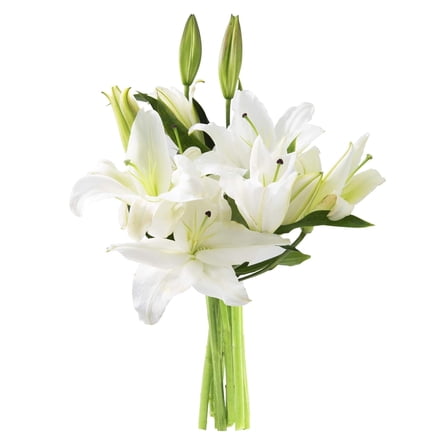 KaBloom: Fall Collection-Bouquet of 8 White Oriental Lilies,Next-Day Delivery, Gift of Fresh Flowers for Every Occasion.