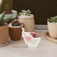 thumbnail image 3 of BESTOYARD Animal Succulent Ceramics Pot 1Pack, 3 of 6