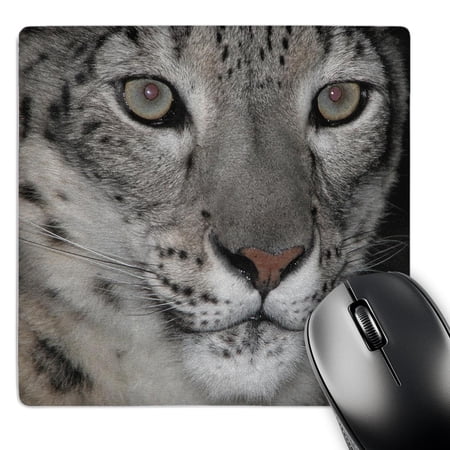 3dRose  Snow Leopard  MousePad price history on PriceWatchPro