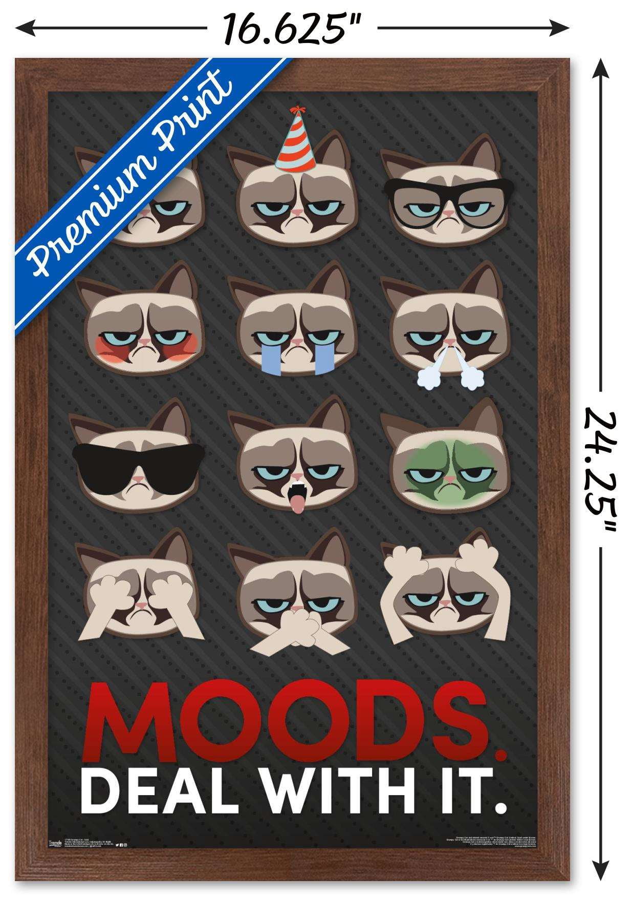 Grumpy Cat - Grid Wall Poster, 14.725" x 22.375", Framed