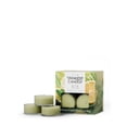thumbnail image 2 of Yankee Candle Scented Tea Light Candles, Sage & Citrus, 0.44 OZ, 12 Count, Pack of 2 (24 Candles Total), 2 of 5