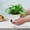 11.02 inch, variant on Plant Saucer, Drip Tray, 11.02 Inch Plastic Plant Tray, Round Pot Saucer, Water Catcher Tray, Heavy Duty Plant Tray, Sturdy Flower Pot Base Tray, Durable Indoor Outdoor Plant Saucer for Flower Pots