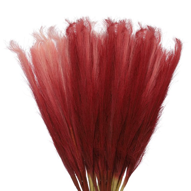 Unique Bargains 12Pcs Faux Pampas Grass 35.4' Tall 9 Branches Artificial Reed Fluffy Stems for Home Kitchen Vase Red
