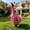 390#Pink, variant on 23 Inch Porch Goose Hoodie Outfit, Soft Reusable Statue Costume, Easy Wear Outdoor Apparel for Yard Porch Garden Display Independence Day Festive Lawn Ornament Decoration