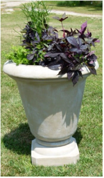 Set of 2 Moss Finished Outdoor Patio Garden Genoa Urn Planters 30" by CC Outdoor Living