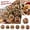 Christmas DIY Diamond Hanging Painting D, variant on 2026 New Christmas 6PC Vintage Diamond Painting Art Kit, Easy 5D Diamond Art Set for Adults and New Crafters, Relaxing Stress Relief Activity, Household Xmas Tree Decor And Tabletop Ornament