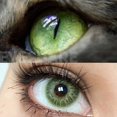 thumbnail image 1 of AMARA (Nuevo) | Serie ESTONIA Lentes De Contacto Suaves 2pcs/Par Lente 14.5mm Maquillaje Anual Cosméticos , Marrón/Gris/Verde, 1 of 4