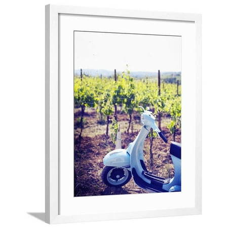 Italy, Umbria, Perugia District, Montefalco, Vespa Scooter in Vineyard Framed Print Wall Art By Francesco