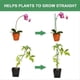 thumbnail image 3 of Plant Stakes Sets, Plant Sticks with Connect Pipe for Outdoor Plants, 3 of 5