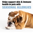 thumbnail image 5 of Pet Naturals Anxiety & Allergy Relief Soft Chews for Dogs, Duck, 90 Count Jar, 5 of 10