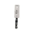 thumbnail image 2 of Pet Attire by Coastal Small 8-12" Black Bones Adjustable Dog Collar, 2 of 4