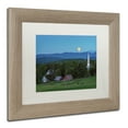 thumbnail image 2 of Trademark Fine Art 'Cow Under the Moon' Matted Framed Art by Michael Blanchette Photography, 2 of 4