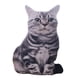 thumbnail image 5 of Almohada de peluche de gato en 3D, divertida y linda almohada de gatito. Estilo A, 5 of 9