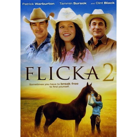Flicka 2 (DVD)